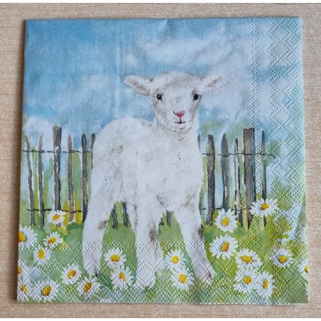 Serviette Lamm/Margriten