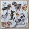Serviette  " Verschiedene Hunde "