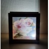 Led Lichterbox Orchidee/Spitzeband rosa