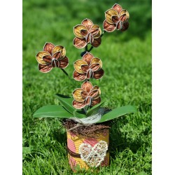 Nespresso Kapseln Orchidee lachs/gold
