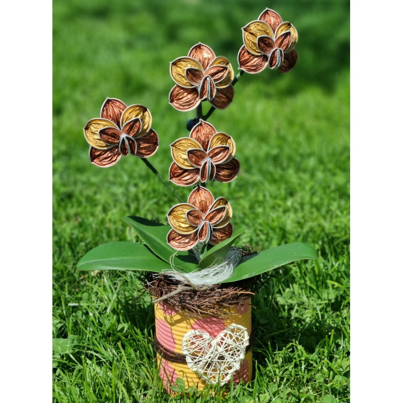 Nespresso Kapseln Orchidee lachs/gold