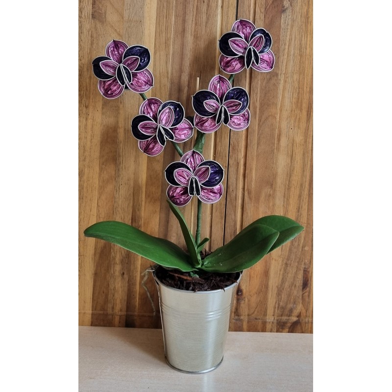 Nespresso Kapseln Orchideen magenta/violette