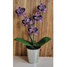 Nespresso Kapseln Orchideen magenta/violette