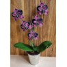 Nespresso Kapseln Orchideen magenta/violette