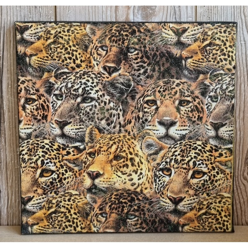 Bild " Leoparden-Köpfe " schwarz Töne