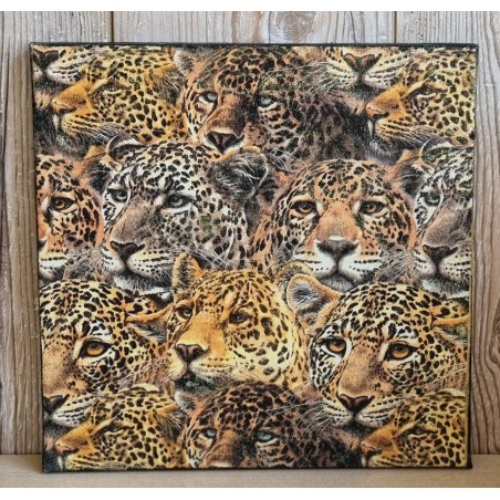 Bild " Leoparden-Köpfe " schwarz Töne