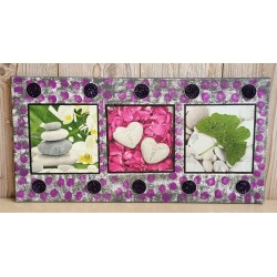 Bild " Steine/Pflanzen " violette/grau Töne