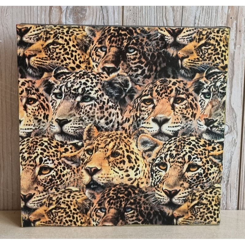 Bild " Leoparden Köpfe "  bronze/schwarz Töne
