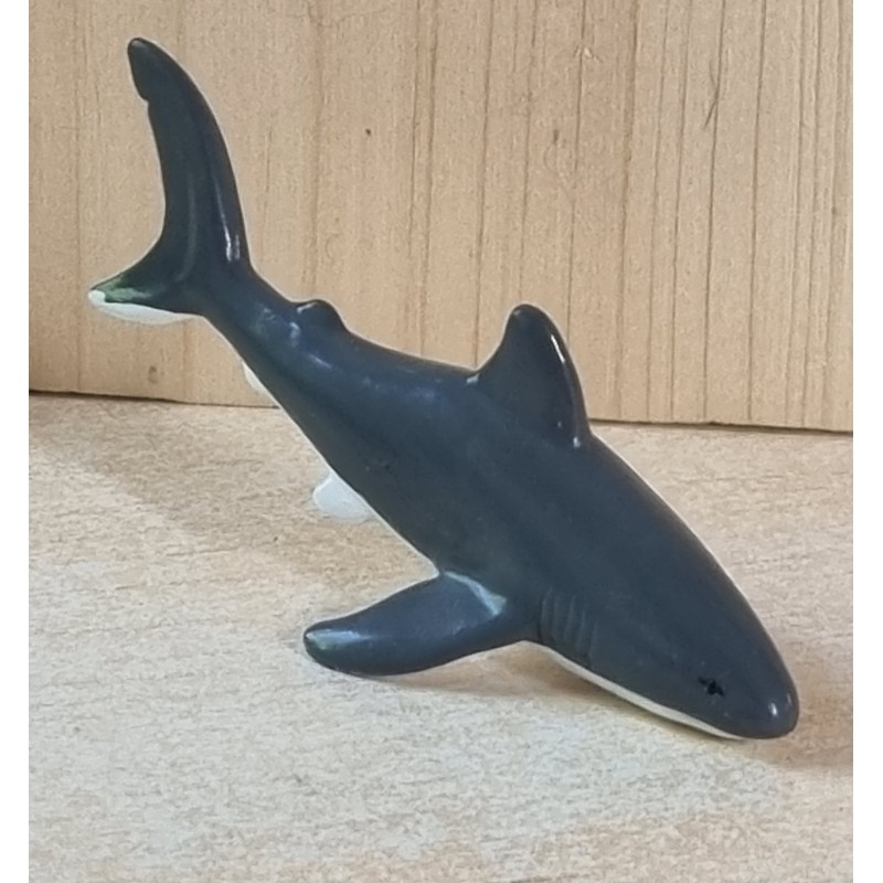 Hai