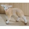 Lamm creme