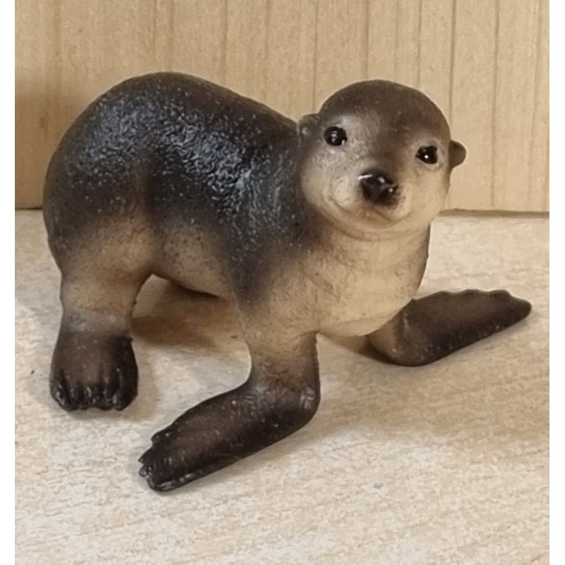 Seehunde dunkel