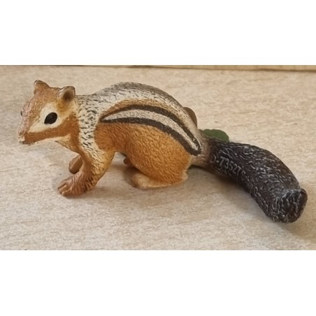 Streifenhörnchen