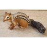 Streifenhörnchen