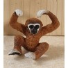 Gibbon Affe