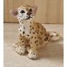 Leopard Junges sitzend