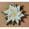 Filz Edelweiss