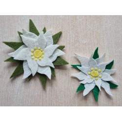 Filz Edelweiss