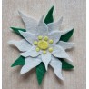 Filz Edelweiss 2