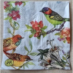 Serviette Verschiedene bunte Vögel