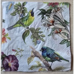 Serviette Verschiedene bunte Vögel