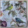 Serviette Verschiedene bunte Vögel