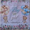 Serviette Boy or Girl