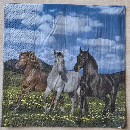 Serviette Drei Pferde auf Wiese