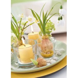 Teelicht/Mini Vase Glas transparent