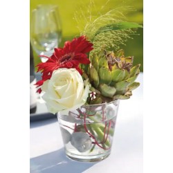 Teelicht/Mini Vase Glas transparent
