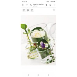Teelicht/Kerzen Glas transparent 2