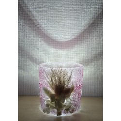 Glas Teelicht Trockenblumen/rosa