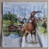 Serviette Murmeltier/Steinbock