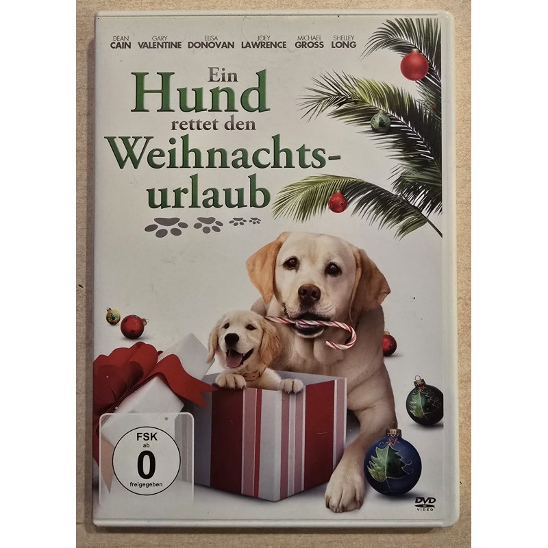 Ein Hund rettet den Weihnachtsurlaub