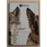 Alles über Hunde