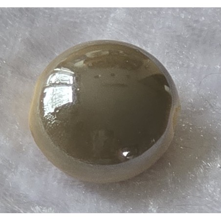 Kunststoff Perle flach beige-grau