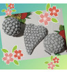 Silikonform Edelweiss