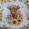 Serviette Hochlandrind/Sonnenblumen