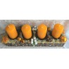 Adventsgesteck orange