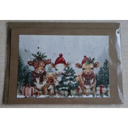 Karte Weihnachts Hochlandkälber 2