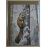 Karte Marder/Winterwald