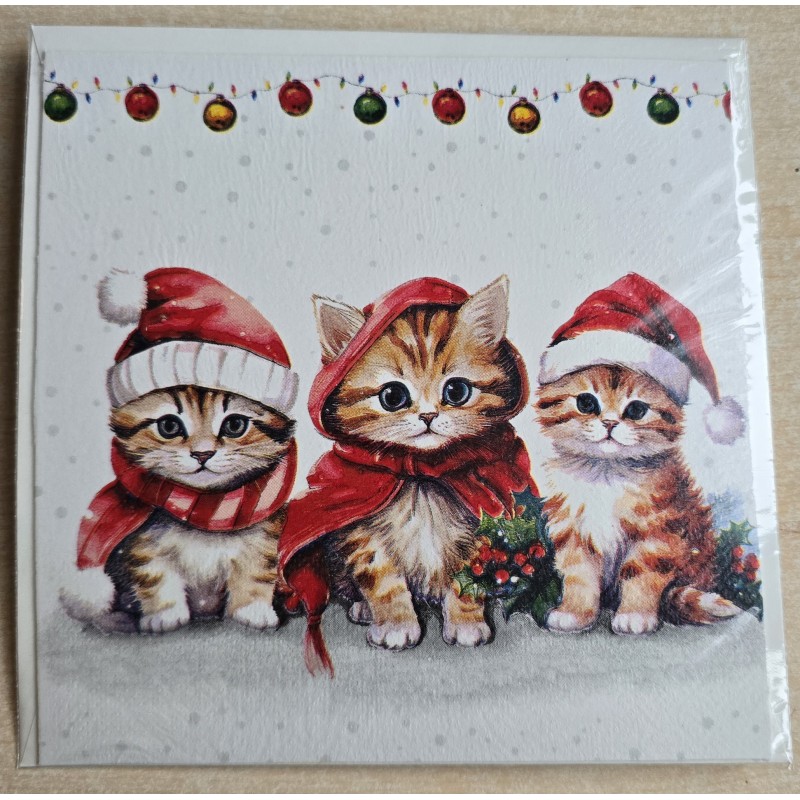 Karte Drei Katzen mit Weihnachtsmützen
