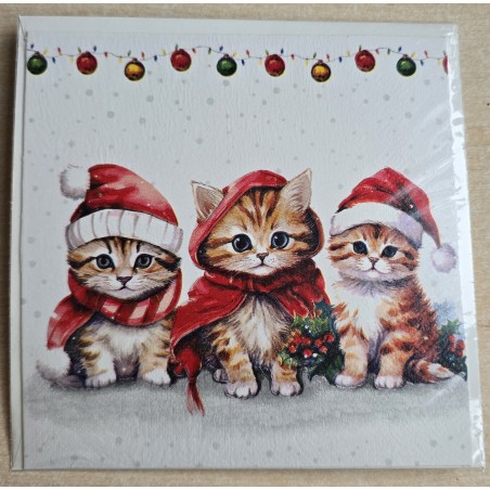 Karte Drei Katzen mit Weihnachtsmützen