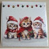 Karte Drei Katzen mit Weihnachtsmützen