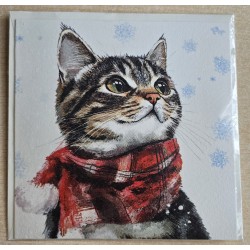 Karte Katze mit Schal