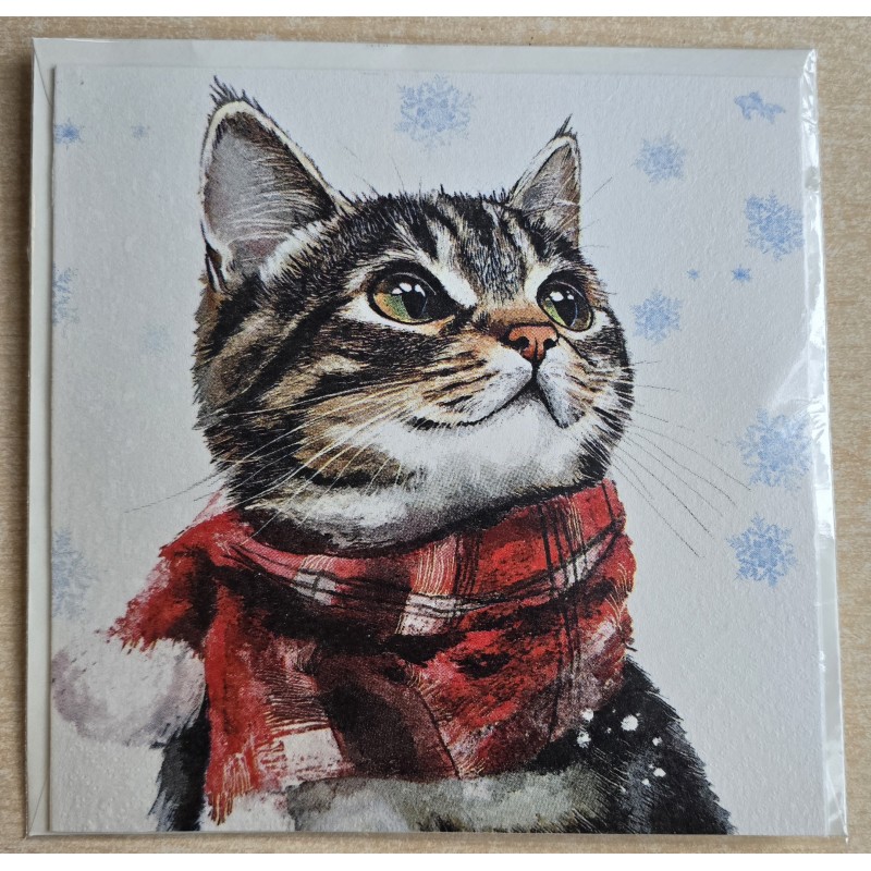 Karte Katze mit Schal