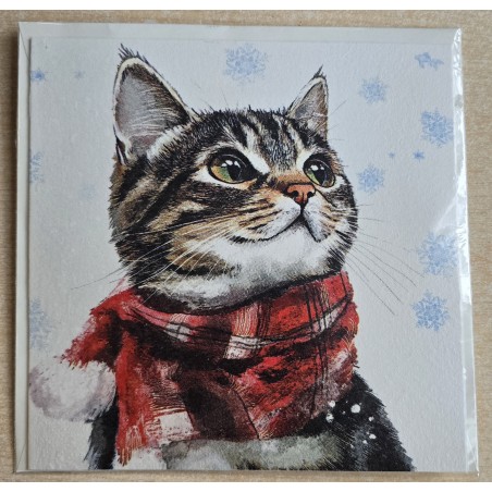 Karte Katze mit Schal
