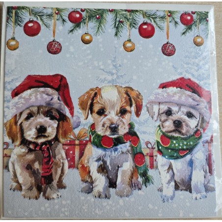 Karte Drei Hunde mit Weihnachtsmützen