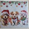 Karte Drei Hunde mit Weihnachtsmützen
