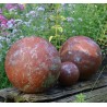 Rusty Rost-Orange