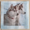 Servietten Eisbär/Husky